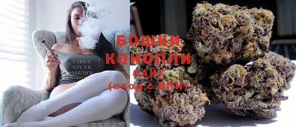 PSILOCYBIN Михайловск