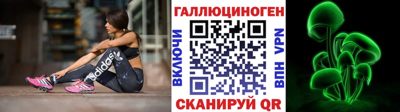 купить   Ярославль  Галлюциногенные грибы GOLDEN TEACHER 