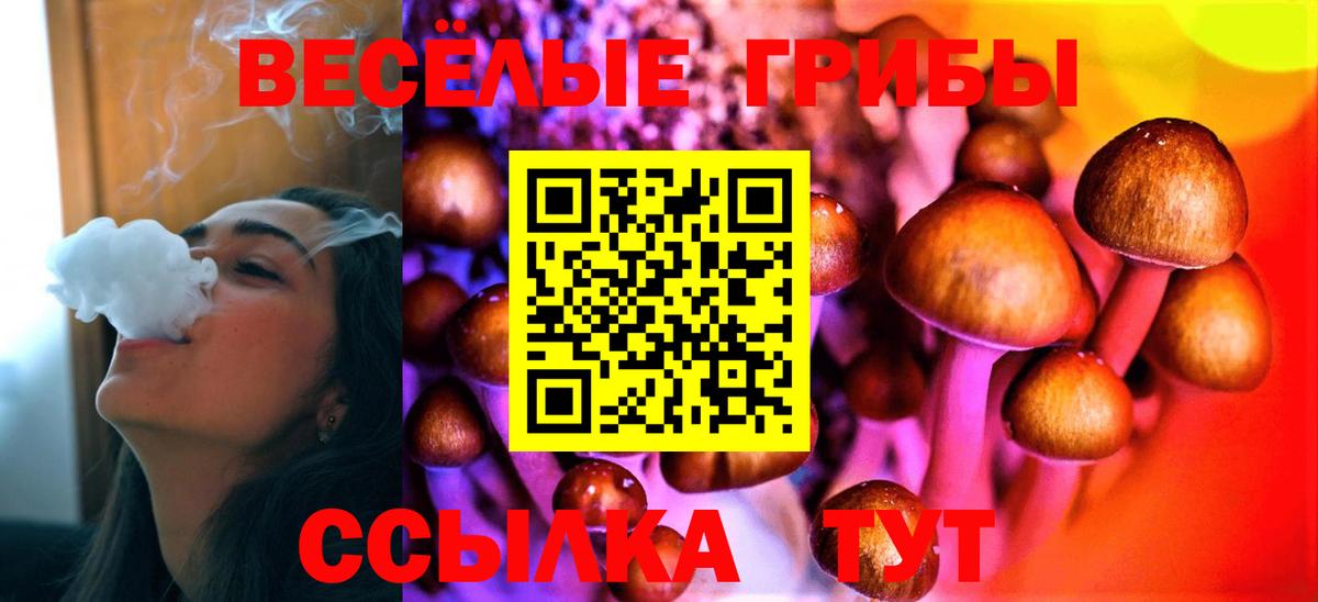 Галлюциногенные грибы мухоморы  Ярославль 