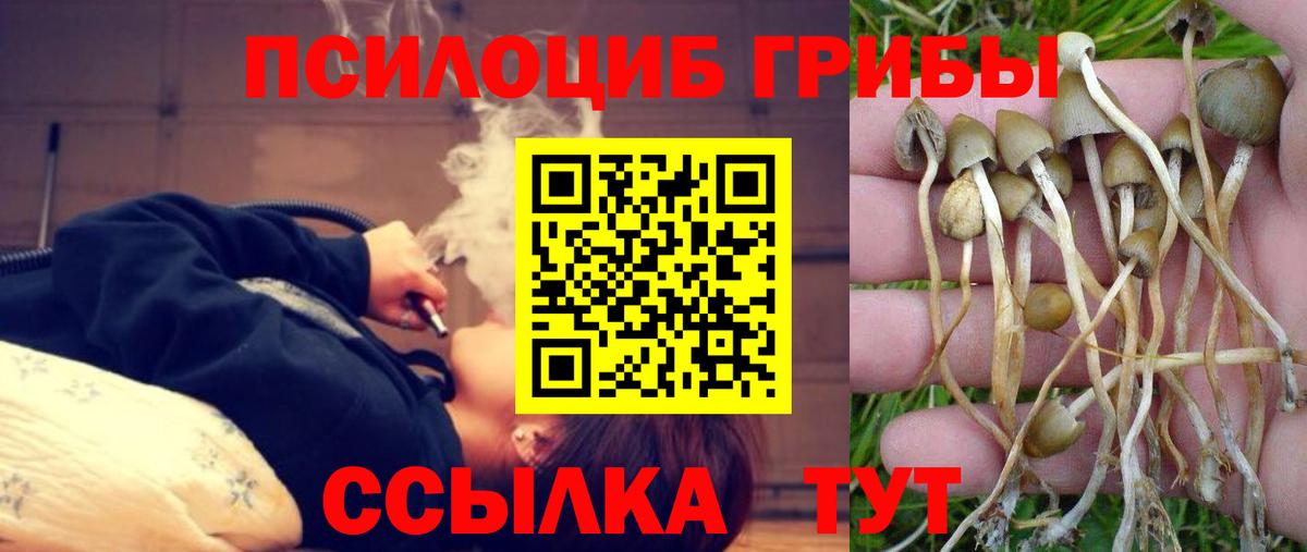 Галлюциногенные грибы GOLDEN TEACHER Ярославль