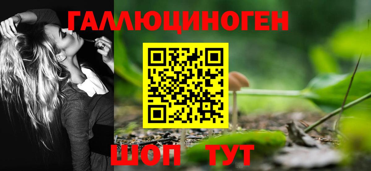Ярославль  Псилоцибиновые грибы ЛСД  Вход с VPN  Псилоцибиновые грибы MAGIC MUSHROOMS 